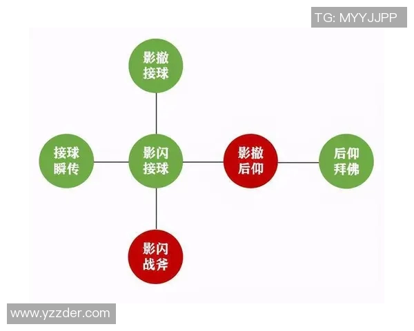 深圳排球队技术对比深度解析与未来发展趋势探讨
