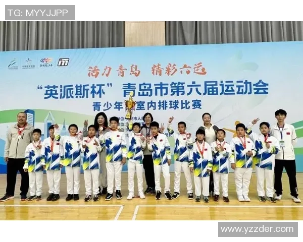 南京排球队的节奏与魅力探秘：一场关于青春与拼搏的排球盛宴